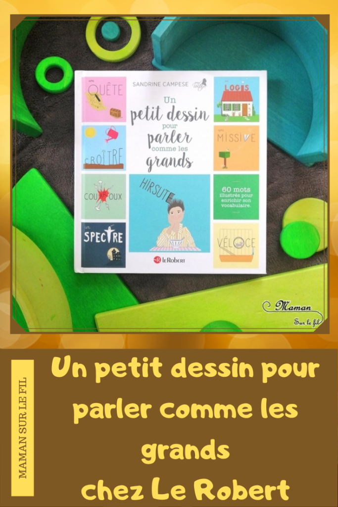 Test et avis livre enfants - Un petit dessin pour parler comme les grands et pour ne plus prendre un dromadaire pour un chameau - Sandrine Campese - Editions le robert - Travail du vocabulaire, du lexique soutenu grâce aux dessins et illustrations - Livre, documentaire - littérature enfant - mslf