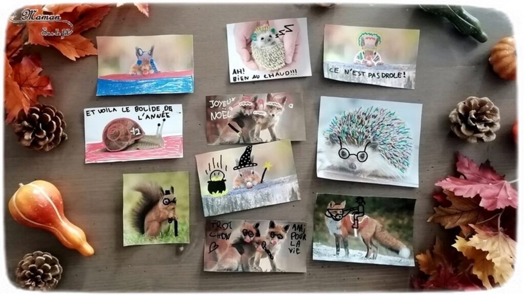Activité créative enfants - Décorer et dessiner sur des photos d'animaux de la forêt - Travailler le graphisme et le dessin en s'amusant - omagination et humour - Hérissons, escargots, renards, écureuils - Arts visuels - maternelle et élémentaire - mslf