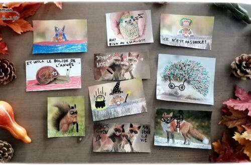 Activité créative enfants - Décorer et dessiner sur des photos d'animaux de la forêt - Travailler le graphisme et le dessin en s'amusant - omagination et humour - Hérissons, escargots, renards, écureuils - Arts visuels - maternelle et élémentaire - mslf