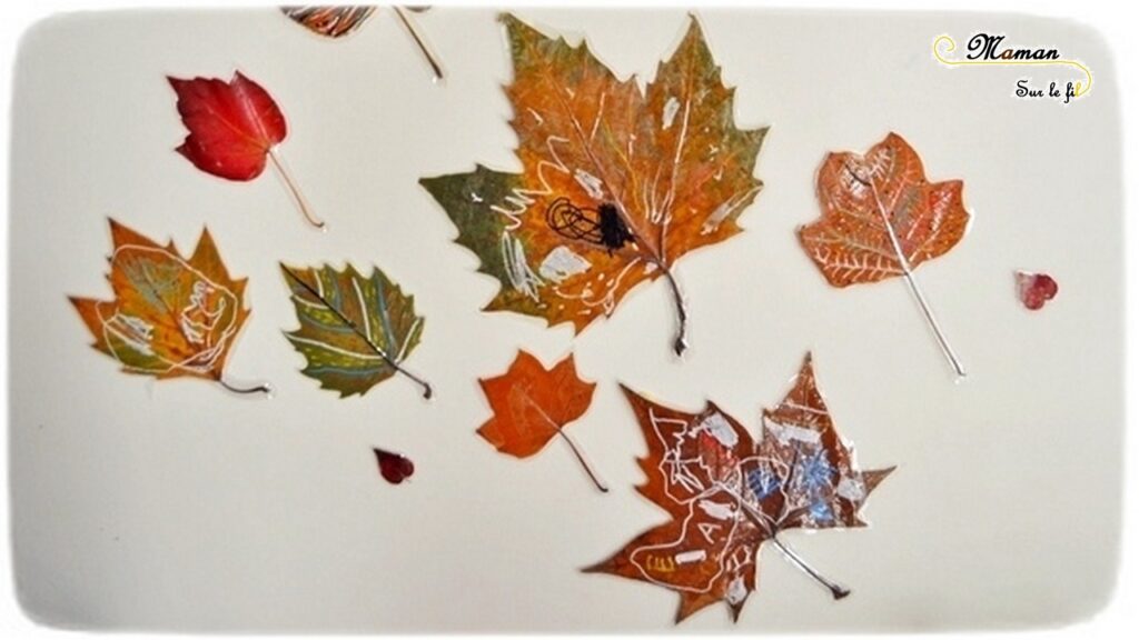 DIY - Dessiner avec des feuilles d'automne