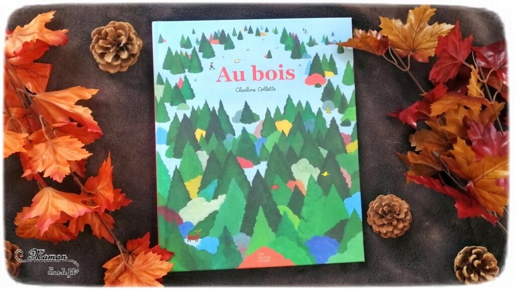 Livre enfants - Au bois aux éditions fourmis rouges - Album et bande dessinée - Documentaire forêt et imaginaire - au fil des saisons - test et avis - mslf