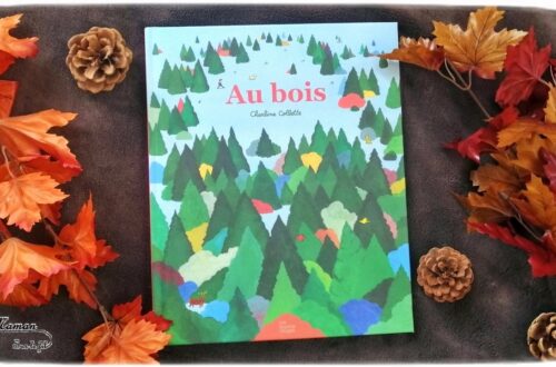 Livre enfants - Au bois aux éditions fourmis rouges - Album et bande dessinée - Documentaire forêt et imaginaire - au fil des saisons - test et avis - mslf