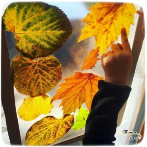 Activité enfant - Attrape-soleil avec des feuilles mortes - Automne - Cadre Nuage, coeur , en carton - Récup - créative et manuelle - collage - Arts visuels maternelle - Décoration de fenêtre - mslf