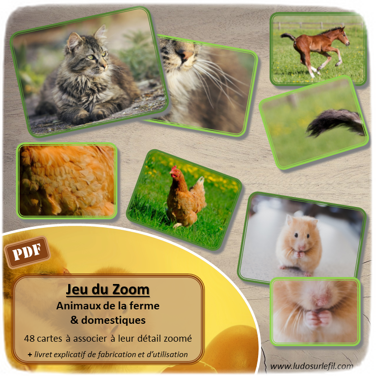 Jeu du zoom - animaux de la ferme et domestiques - cartes à associer aux détails - à télécharger et à imprimer - atelier maternelle - lslf