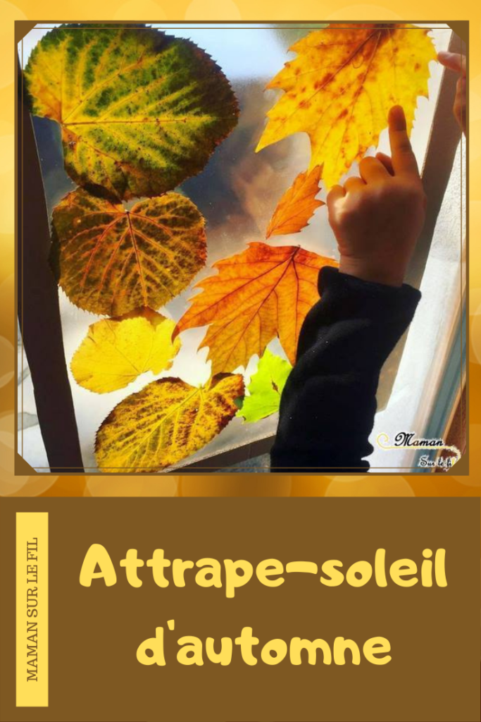 Activité enfant - Attrape-soleil avec des feuilles mortes - Automne - Cadre Nuage, coeur , en carton - Récup - créative et manuelle - collage - Arts visuels maternelle - Décoration de fenêtre - mslf