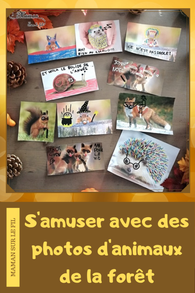 Activité créative enfants - Décorer et dessiner sur des photos d'animaux de la forêt - Travailler le graphisme et le dessin en s'amusant - omagination et humour - Hérissons, escargots, renards, écureuils - Arts visuels - maternelle et élémentaire - mslf