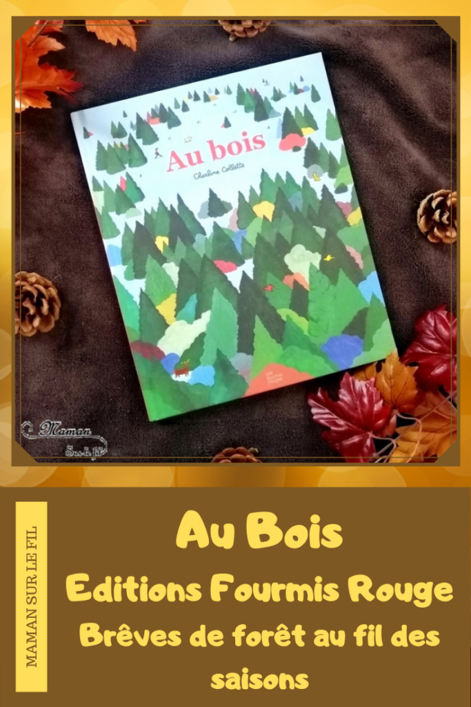 Livre enfants - Au bois aux éditions fourmis rouges - Album et bande dessinée - Documentaire forêt et imaginaire - au fil des saisons - test et avis - mslf