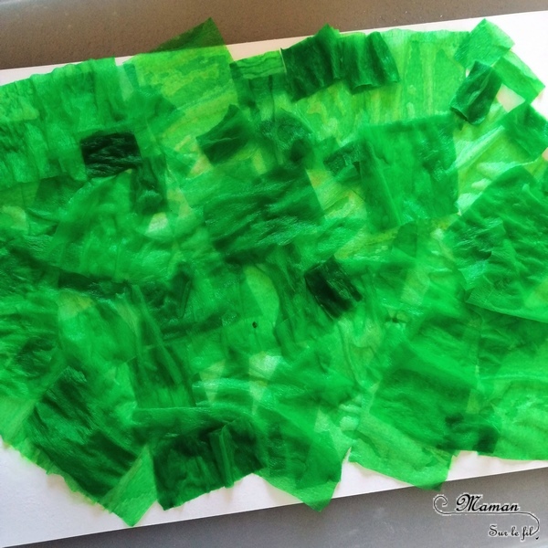 Papier Crépon Vert MegaCrea - 50 Cm X 2 M