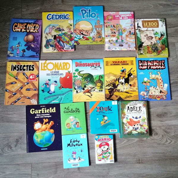 Test et avis livre bande-dessinée enfants - BD préférées garçon 7 ans - classiques - fantastiques, magie - vie quotidienne, école - mangas, jeux vidéos - animaux - mario bros - littérature jeunesse - Livres et bandes-dessinées - mslf