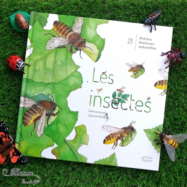 Test et avis livre enfants - Collection 21 petites histoires naturelles aux éditions du Ricochet - nature, animaux, oiseaux et insectes - Livres grand format entre albums poétiques et documentaires - - littérature enfant - mslf