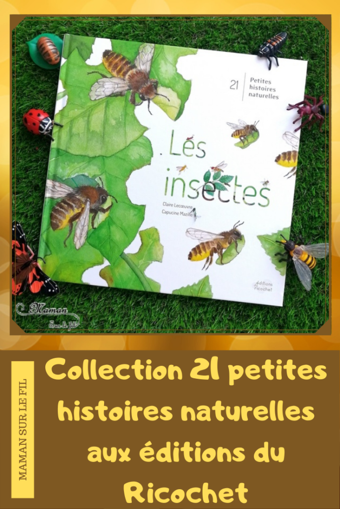 Test et avis livre enfants - Collection 21 petites histoires naturelles aux éditions du Ricochet - nature, animaux, oiseaux et insectes - Livres grand format entre albums poétiques et documentaires - - littérature enfant - mslf