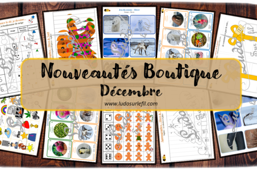 Nouveautés de décembre - Boutique en ligne Ludo sur le fil - fichiers jeux pdf à imprimer - Noël, hiver, phonologie cadeaux, jeu du zoom, 7 familles, je lance le dé je dessine, agamographes - arts visuels lecture maternelle et primaire - mslf