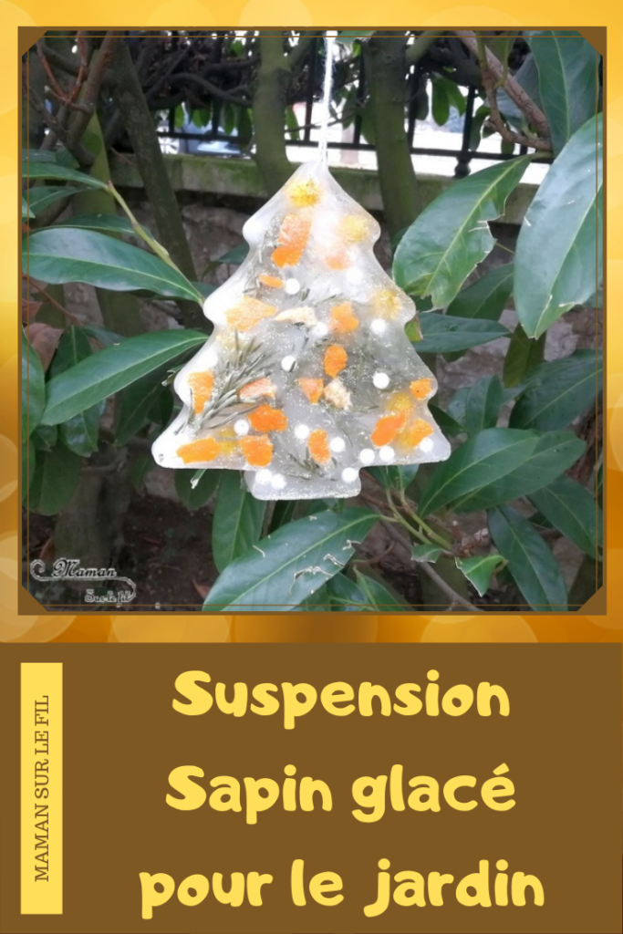 Fabriquer une suspension glacée pour le jardin - sapin glacé décoré - pompons perles paillettes clementines - Glace et glaçons pour créer une patinoire et un toboggan glacé - eau et paillettes - Noël et hiver - Glace et Froid polaire - Activité sensorielle enfants - mslf