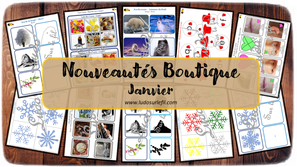 Nouveautés de janvier - Boutique en ligne Ludo sur le fil - fichiers jeux pdf à imprimer - Hiver, animaux du froid, bonhomme de neige, flocons, corps humain et 5 sens - tri, loto, lecture, jeu du zoom, classement, mise en paire, ombres, loupe - mslf