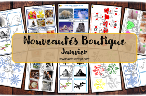 Nouveautés de janvier - Boutique en ligne Ludo sur le fil - fichiers jeux pdf à imprimer - Hiver, animaux du froid, bonhomme de neige, flocons, corps humain et 5 sens - tri, loto, lecture, jeu du zoom, classement, mise en paire, ombres, loupe - mslf