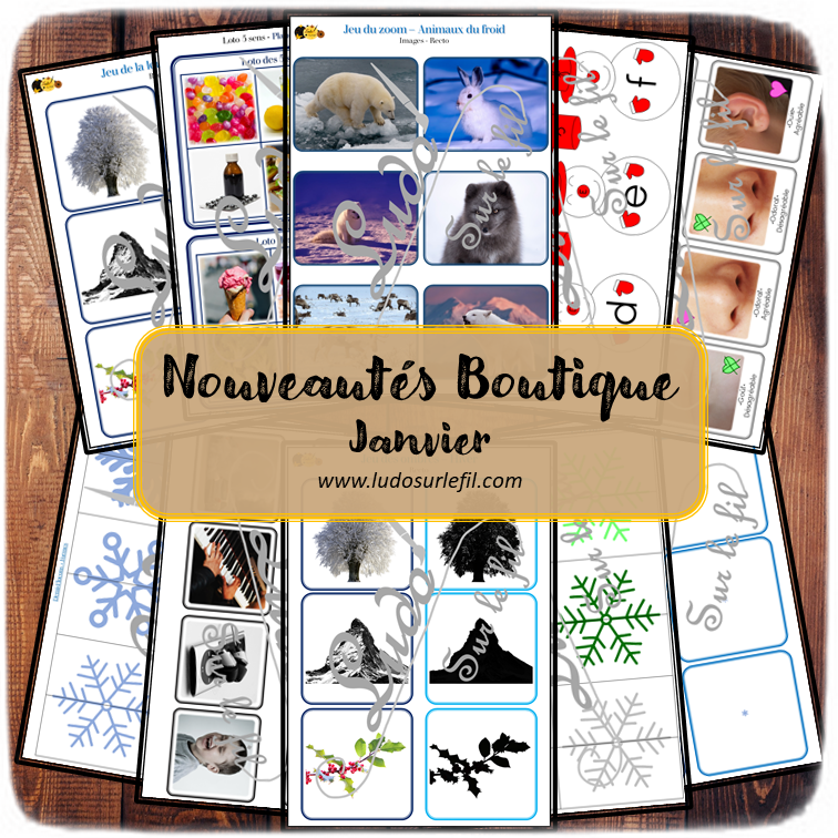 Nouveautés de janvier - Boutique en ligne Ludo sur le fil - fichiers jeux pdf à imprimer - Hiver, animaux du froid, bonhomme de neige, flocons, corps humain et 5 sens - tri, loto, lecture, jeu du zoom, classement, mise en paire, ombres, loupe - mslf