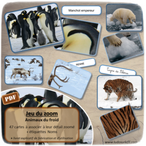 Nouveautés de janvier - Boutique en ligne Ludo sur le fil - fichiers jeux pdf à imprimer - Hiver, animaux du froid, bonhomme de neige, flocons, corps humain et 5 sens - tri, loto, lecture, jeu du zoom, classement, mise en paire, ombres, loupe - mslf