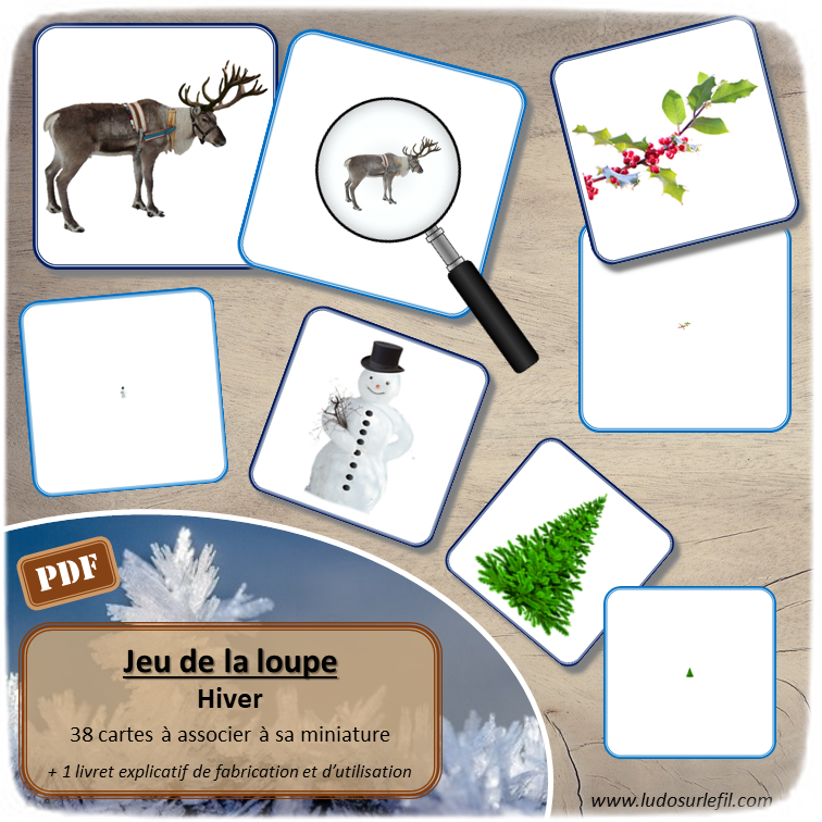 Nouveautés de janvier - Boutique en ligne Ludo sur le fil - fichiers jeux pdf à imprimer - Hiver, animaux du froid, bonhomme de neige, flocons, corps humain et 5 sens - tri, loto, lecture, jeu du zoom, classement, mise en paire, ombres, loupe - mslf