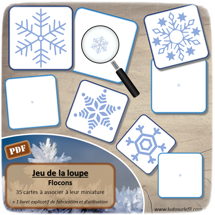 Nouveautés de janvier - Boutique en ligne Ludo sur le fil - fichiers jeux pdf à imprimer - Hiver, animaux du froid, bonhomme de neige, flocons, corps humain et 5 sens - tri, loto, lecture, jeu du zoom, classement, mise en paire, ombres, loupe - mslf