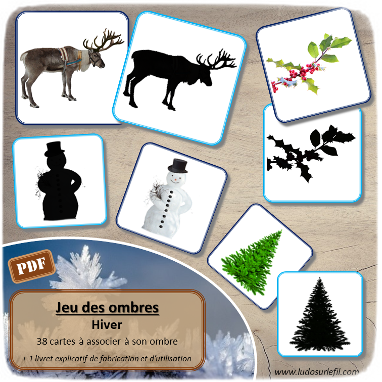 Nouveautés de janvier - Boutique en ligne Ludo sur le fil - fichiers jeux pdf à imprimer - Hiver, animaux du froid, bonhomme de neige, flocons, corps humain et 5 sens - tri, loto, lecture, jeu du zoom, classement, mise en paire, ombres, loupe - mslf