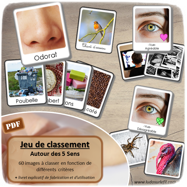 Nouveautés de janvier - Boutique en ligne Ludo sur le fil - fichiers jeux pdf à imprimer - Hiver, animaux du froid, bonhomme de neige, flocons, corps humain et 5 sens - tri, loto, lecture, jeu du zoom, classement, mise en paire, ombres, loupe - mslf