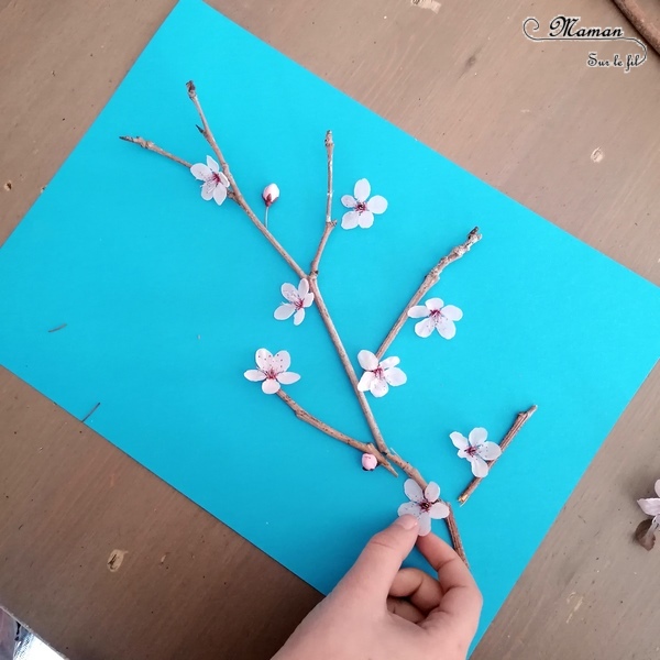 Activité créative enfants - Créer une branche de cerisier japonais en land art - branche et fleurs roses - printemps - éléments de nature du jardin - Découverte d'un pays - Autour du monde - Asie et Japon - Arts visuels - éphémère - maternelle - mslf