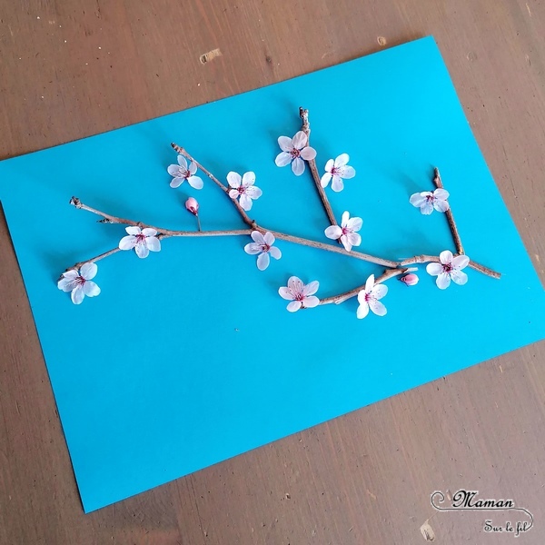 Activité créative enfants - Créer une branche de cerisier japonais en land art - branche et fleurs roses - printemps - éléments de nature du jardin - Découverte d'un pays - Autour du monde - Asie et Japon - Arts visuels - éphémère - maternelle - mslf