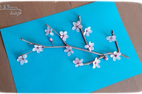 Activité créative enfants - Créer une branche de cerisier japonais en land art - branche et fleurs roses - printemps - éléments de nature du jardin - Découverte d'un pays - Autour du monde - Asie et Japon - Arts visuels - éphémère - maternelle - mslf