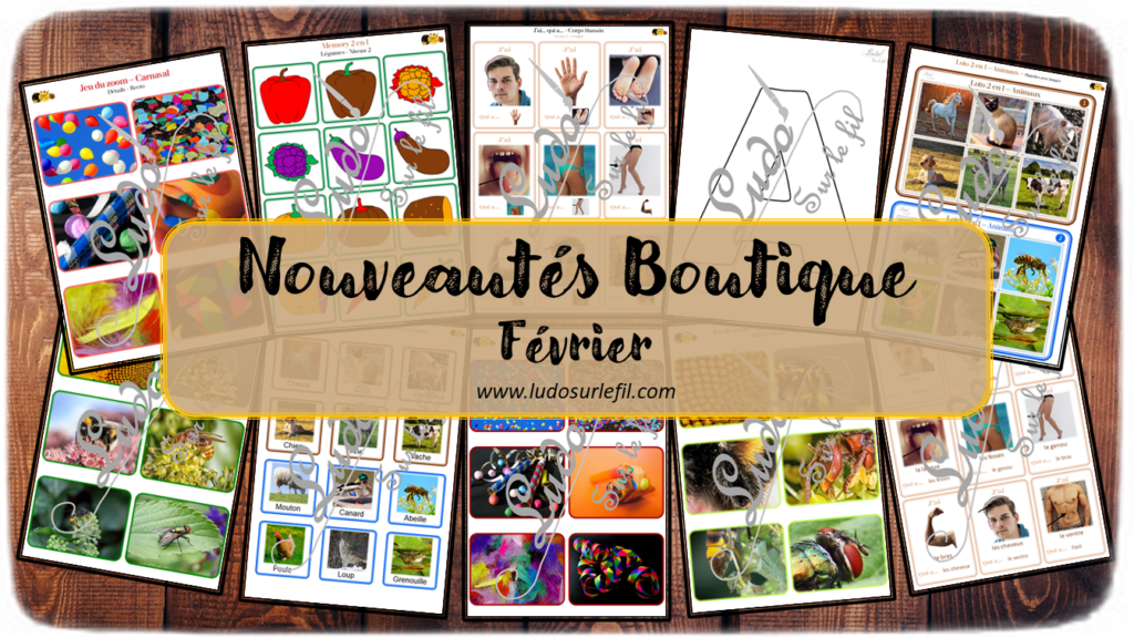 Nouveautés de février - Boutique en ligne Ludo sur le fil - fichiers jeux pdf à imprimer - Carnaval, Mardi-gras, corps humain, Fruits et légumes, Printemps, animaux et insectes - zoom, memory 3 en 1 - J'ai... qui a, alphabets, lettres creuses - Loto auditif et sonore - mslf