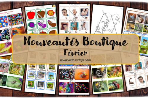 Nouveautés de février - Boutique en ligne Ludo sur le fil - fichiers jeux pdf à imprimer - Carnaval, Mardi-gras, corps humain, Fruits et légumes, Printemps, animaux et insectes - zoom, memory 3 en 1 - J'ai... qui a, alphabets, lettres creuses - Loto auditif et sonore - mslf