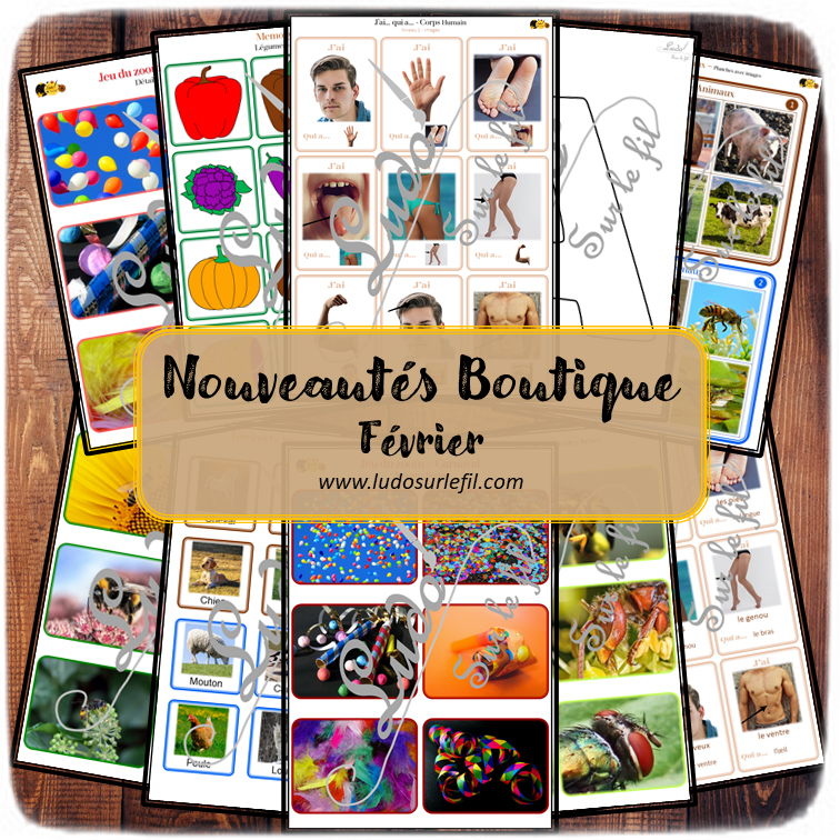 Nouveautés de février - Boutique en ligne Ludo sur le fil - fichiers jeux pdf à imprimer - Carnaval, Mardi-gras, corps humain, Fruits et légumes, Printemps, animaux et insectes - zoom, memory 3 en 1 - J'ai... qui a, alphabets, lettres creuses - Loto auditif et sonore - mslf