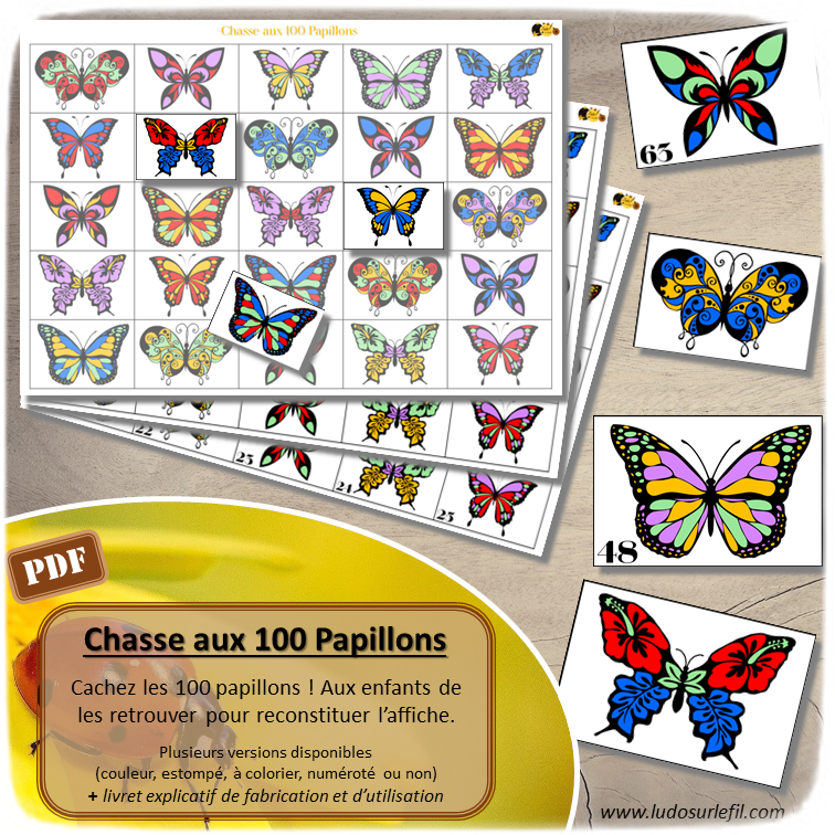 Chasse aux 100 papillons - Chasse géante - Discrimination visuelle, patience - Thème printemps et insectes - Jeu à télécharger et à imprimer - Format PDF - lslf