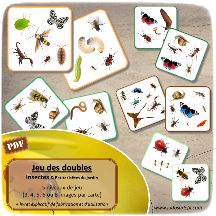 Jeu des doubles - Insectes et petites bêtes du jardin - Jeu PDF à télécharger et à imprimer ou imprimé - 5 niveaux (3, 4, 5, 6 ou 8 images par carte) - Discrimination visuelle - lslf