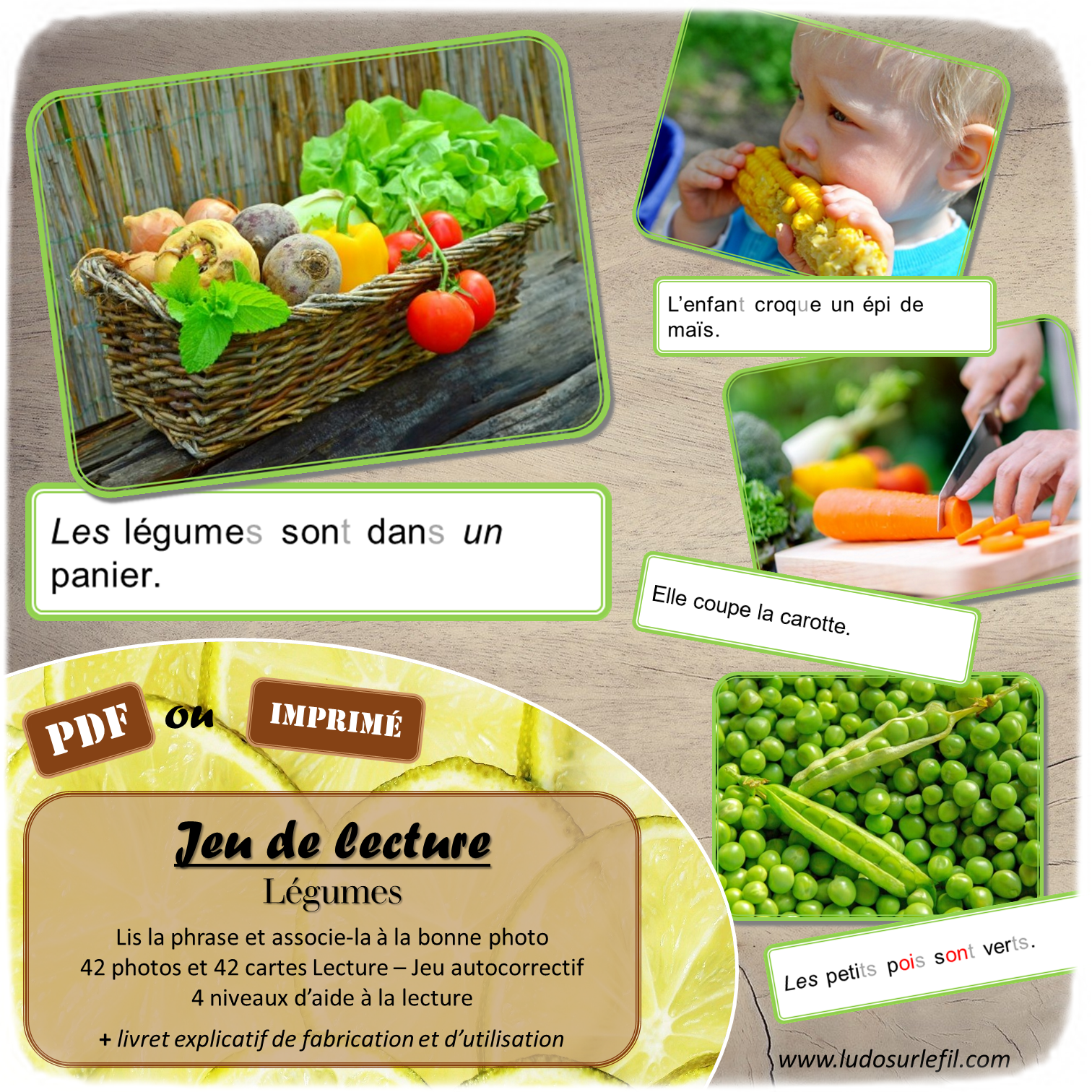 Jeu de lecture - Légumes - Lis les phrases sur les cartes et associe-les à la bonne photo - Lecture de phrases, fluence et compréhension de l'écrit - 4 niveaux d'aide à la lecture - Thèmes Printemps, potager, nourriture - Lexique et Vocabulaire - Atelier autocorrectif et autonome - apprentissage lecture - Cycle 2 - 42 photos - PDF à télécharger et à imprimer ou jeu imprimé - Atelier autonome - lslf