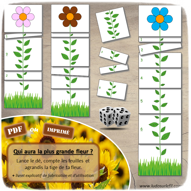 Jeu Qui aura la plus grande fleur - Printemps et fleurs - Jeu de dés, de mathématiques et de dénombrement de 1 à 12 - Notions de mesures et longueurs - Suite numérique et représentations des chiffres - Atelier maternelle et élémentaire - PDF à télécharger et imprimer ou jeu imprimé - cycles 1 ou 2 - additions et calcul - lslf