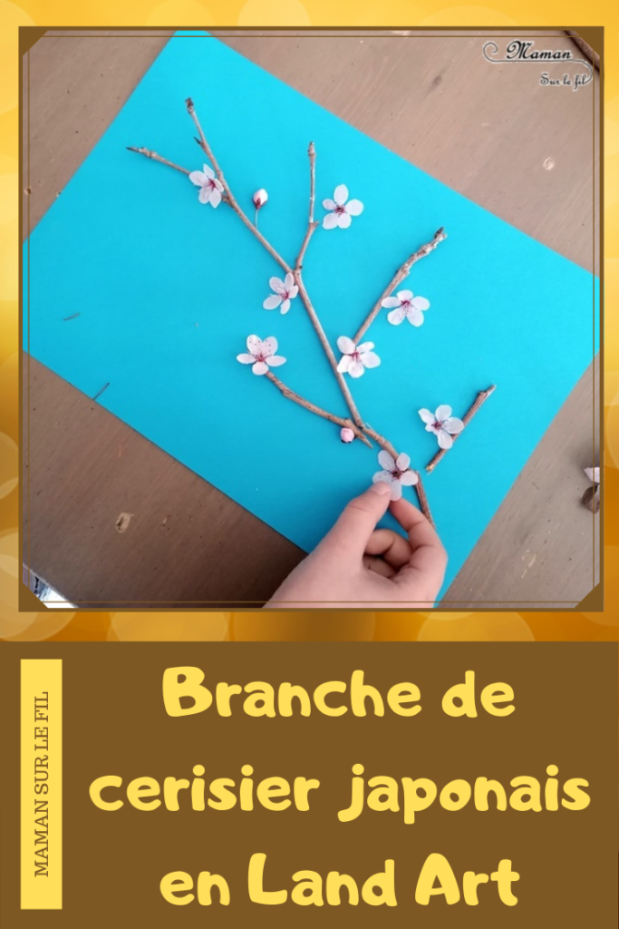 Activité créative enfants - Créer une branche de cerisier japonais en land art - branche et fleurs roses - printemps - éléments de nature du jardin - Découverte d'un pays - Autour du monde - Asie et Japon - Arts visuels - éphémère - maternelle - mslf