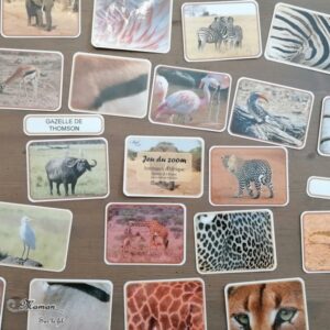 Activité enfants - 2 jeux à imprimer DIY sur les animaux de la savane, Afrique et désert - Jeu du zoom et Repère les couleurs - Travail de l'observation, de la discrimination visuelle, lexique et vocabulaire - A télécharger ou jeu imprimé - Boutique en ligne - Jeux pédagogique - Documents éducatifs numériques - Afrique et Kenya - Découverte d'un pays - Animaux de la savane - Espace et géographie - arts visuels et atelier autocorrectif maternelle et Cycle 1 et 2 - Eté - mslf