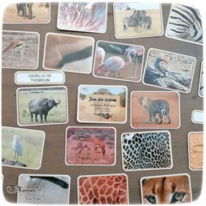 Activité enfants - 2 jeux à imprimer DIY sur les animaux de la savane, Afrique et désert - Jeu du zoom et Repère les couleurs - Travail de l'observation, de la discrimination visuelle, lexique et vocabulaire - A télécharger ou jeu imprimé - Boutique en ligne - Jeux pédagogique - Documents éducatifs numériques - Afrique et Kenya - Découverte d'un pays - Animaux de la savane - Espace et géographie - arts visuels et atelier autocorrectif maternelle et Cycle 1 et 2 - Eté - mslf