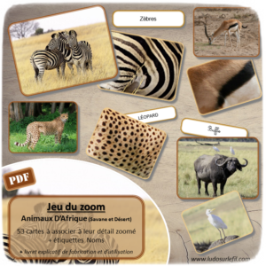 Jeu du zoom - Animaux Afrique - Savane et Désert - jeu à imprimer ou imprimé - atelier autocorrectif maternelle ou cycle 2 - vocabulaire et lexique - découverte géographie - lslf