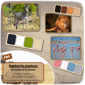 Jeu à imprimer - Repère les couleurs - Animaux de la savane - Associe la photo à sa palette de couleurs - atelier autonome et autocorrection - Boutique en ligne de jeux à télécharger et à imprimer - Fichier PDF - Ludo sur le fil