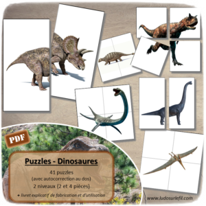 Nouveautés d'avril - Boutique en ligne Ludo sur le fil - fichiers jeux pdf à télécharger et imprimer - Printemps, animaux et insectes, chenilles et papillons, dinosaures, sushis pour le Japon, drapeaux Europe et Monde - Géographie - jeu des doubles type dobble, puzzles, chasse aux 100, date et temps, ombres, repérage spatial, cherche et trouve - mslf