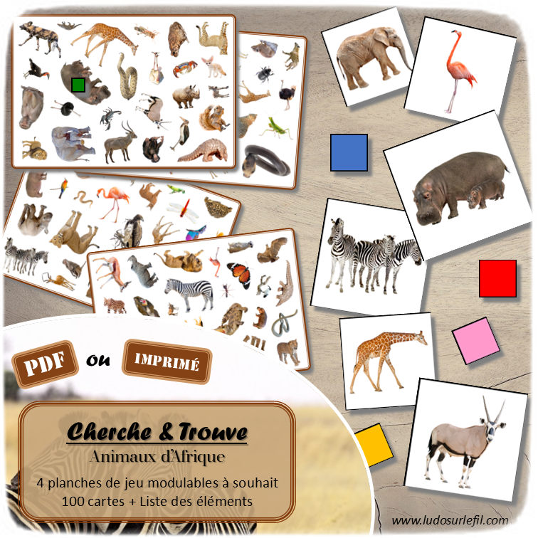 Cherche et Trouve - Animaux de la savane et d'Afrique - Photos - Lynx - mammifères, oiseaux, insectes, reptiles, félins, antilopes... de la savane, d'Afrique, du désert... Eté - Photos sur fond blanc - 4 planches pour un plateau modulable à souhait et différents niveaux de jeu - jusqu'à 100 cartes à trouver - jeu observation et rapidité - PDF à télécharger et à imprimer ou jeu imprimé - atelier maternelle - Noms des éléments - lslf