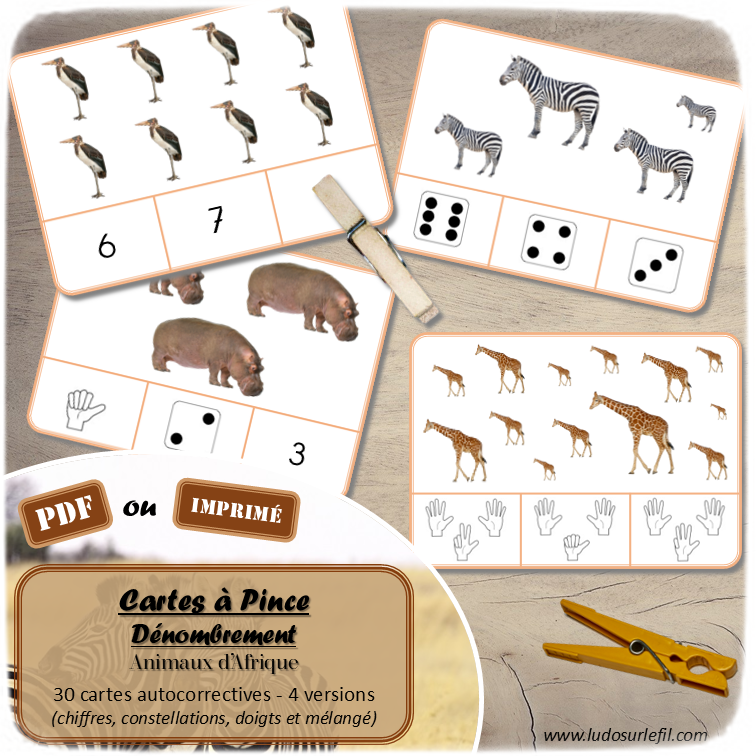 Jeu de cartes à pince de dénombrement de 1 à 15 - Thème Animaux de la savane et d'Afrique - 30 cartes autocorrectives avec différentes représentations des nombres - constellations du dé, chiffres, doigts de la main, mélangé - compter de 1 à 15 - 120 cartes réparties en 4 niveaux de difficulté - progressif - Autocorrection au dos - Atelier autonome maternelle ou élémentaire - Cycles 1 et 2 - Document PDF à télécharger et imprimer ou jeu imprimé - Motricité fine et pince Pouce-Index avec pinces à linge - ludique - Thème Animaux de la savane, d'Afrique et du désert, été - lslf