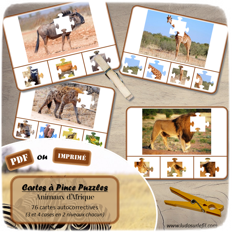 Jeu de cartes à pince - Puzzles - Thème Animaux de la savane et d'Afrique - 76 cartes autocorrectives de différents niveaux - 3 ou 4 propositions de réponses - Niveau 1 : pièces issues de puzzles différents - Niveau 2 : pièces issues du même puzzle - différents niveaux de difficulté - progressif - Autocorrection au dos : point grisé - Atelier autonome pré-scolaire, maternelle ou élémentaire - Cycles 1 et 2 - Document PDF à télécharger et imprimer ou jeu imprimé - Motricité fine et pince Pouce-Index avec pinces à linge, observation, discrimination visuelle, logique - ludique - Thème Animaux de la savane, du désert, d'Afrique, mammifères, oiseaux, insectes, reptiles, été... - lslf
