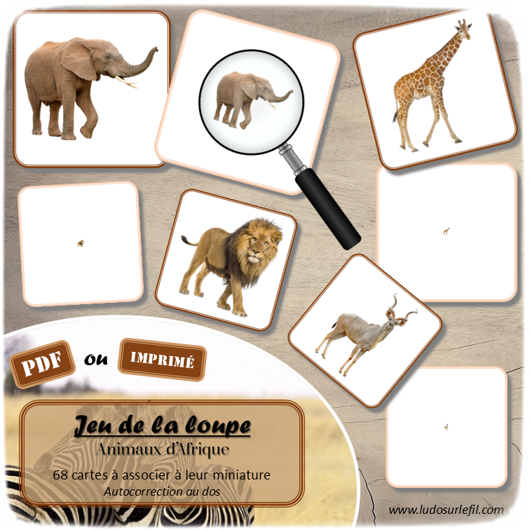Jeu de la loupe - Animaux d'Afrique et de la savane - Vocabulaire, lexique - cartes à associer aux miniatures - Apprentissage de l'utilisation de la loupe - document PDF à télécharger et à imprimer ou jeu imprimé - atelier autocorrectif et autonome maternelle - Animaux d'Afrique, de la savane, du désert, mammifères, oiseaux, insectes, reptiles... - Eté - lslf