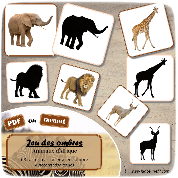 Jeu des ombres - Animaux de la savane et d'Afrique - Vocabulaire, lexique - cartes à associer aux ombres - document PDF à télécharger et à imprimer ou jeu imprimé - atelier autocorrectif et autonome maternelle - Animaux savane, désert, Afrique, safari, été, mammifères, reptiles, oiseaux, insectes... - lslf
