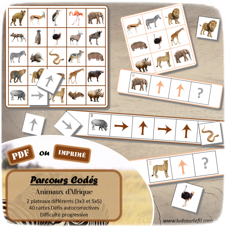 Suis les parcours codés - Animaux de la savane et d'Afrique - codage, repérage et vocabulaire spatial - jeu et atelier autonome et autocorrectif Maternelle (Cycle 1) et Primaire (Cycle 2) - Niveaux et difficulté progressifs - PDF à télécharger et à imprimer ou jeu imprimé - difficulté progressive et solutions - Animaux du désert, été - lslf