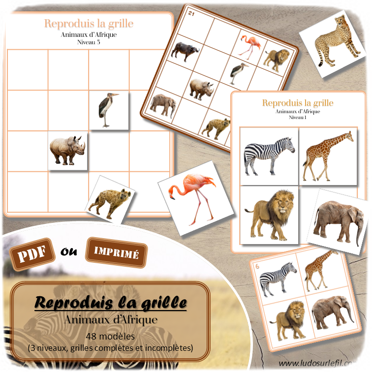 Reproduis la grille - Animaux de la savane et de l'Afrique - 48 modèles à reproduire - Repérage dans l'espace et vocabulaire spatial - Variante pour travailler la mémoire - Variante à deux pour le langage oral - Dicte, décris la grille pour que l'autre jouer la reproduise - jeu et atelier autonome Maternelle (Cycle 1) et Primaire (Cycle 2) - PDF à télécharger et à imprimer ou jeu imprimé - difficulté progressive - repérage spatial - se repérer dans une grille, dans un tableau - Thème Animaux d'Afrique, Animaux de la savane et du désert, été - lslf