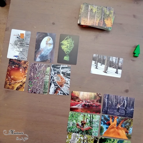 Bioviva planète - Jungles et Forêts - Un jeu pour découvrir les jungles