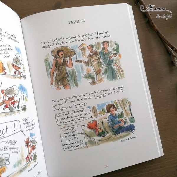 Test et avis livre enfants - Nouveautés BD de chez Dargaud - Etymologie de chez Pico Bogue Volume 3 - La petite dernière - Le jardin secret - Vocabulaire et langue française, origine mots - judaisme, juifs aux états-unis dans les années 50 - orpheline, jardin, manoir, mystère, printemps, renaissance - coup de coeur - fille et garçon 10 11 12 13 ans - Bande dessinée Cycle 3 et adolescents - littérature enfant jeunesse - mslf